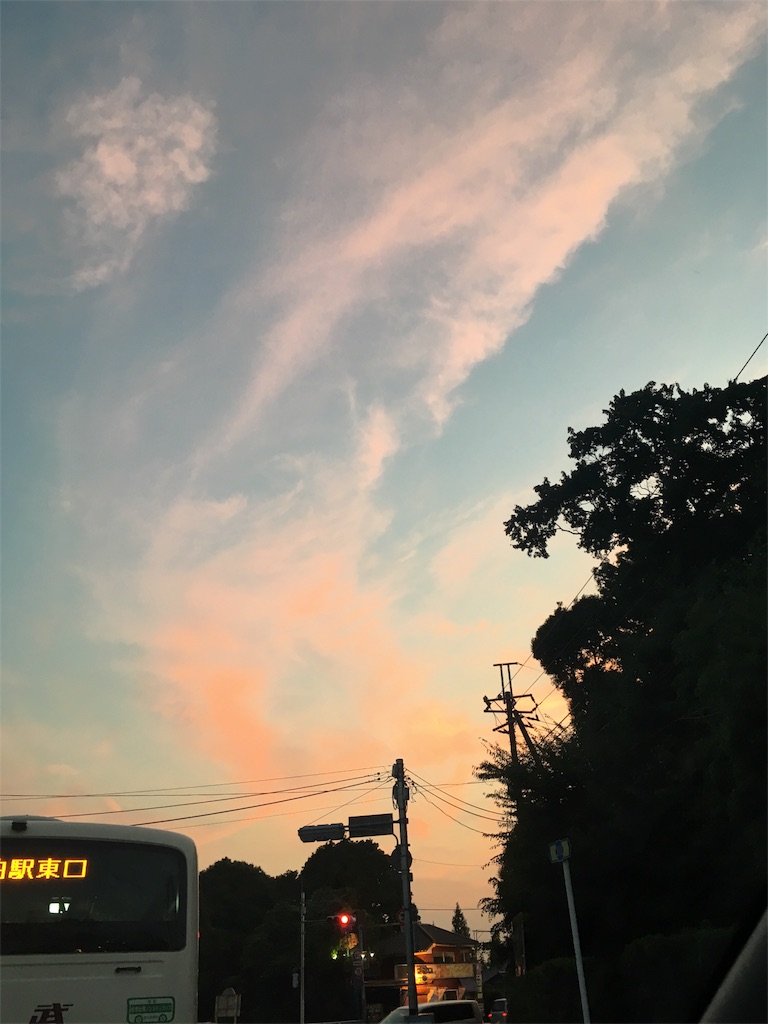 f:id:beehappy08:20170717191318j:image f:id:beehappy08:20170717191318j:image