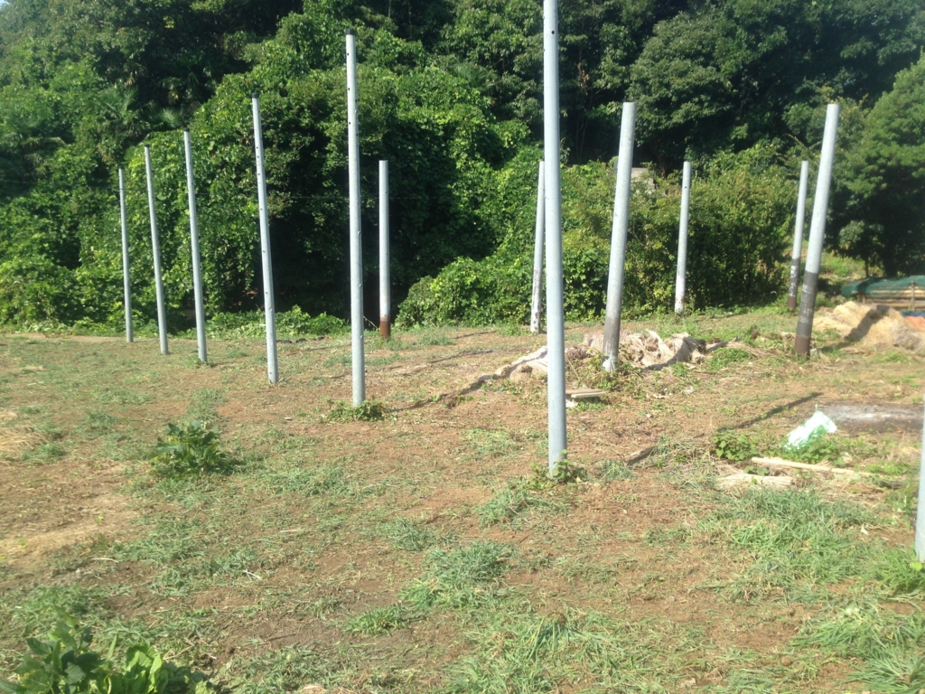 f:id:beer2011:20160901090540j:plain f:id:beer2011:20160901090540j:plain