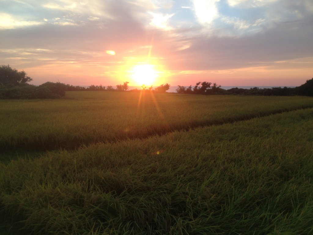 f:id:beer2011:20160901180453j:plain f:id:beer2011:20160901180453j:plain