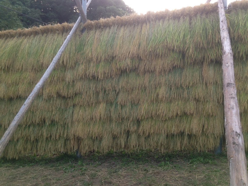 f:id:beer2011:20160911173943j:plain