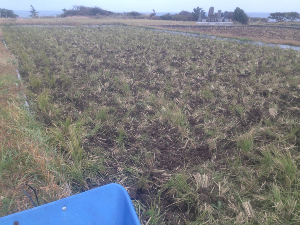 f:id:beer2011:20161117112405j:plain