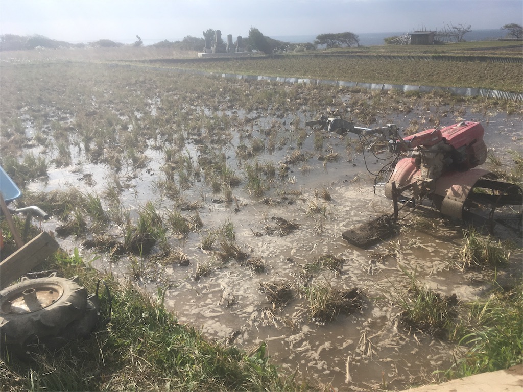 f:id:beer2011:20171110075701j:image