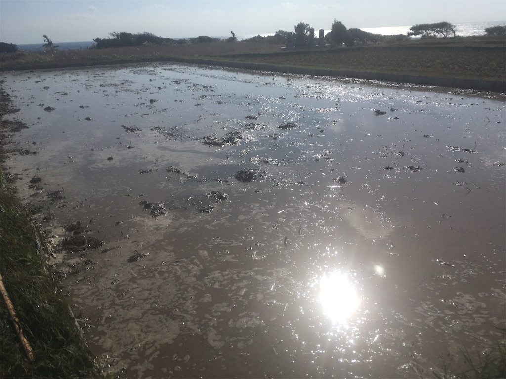 f:id:beer2011:20171110075756j:image