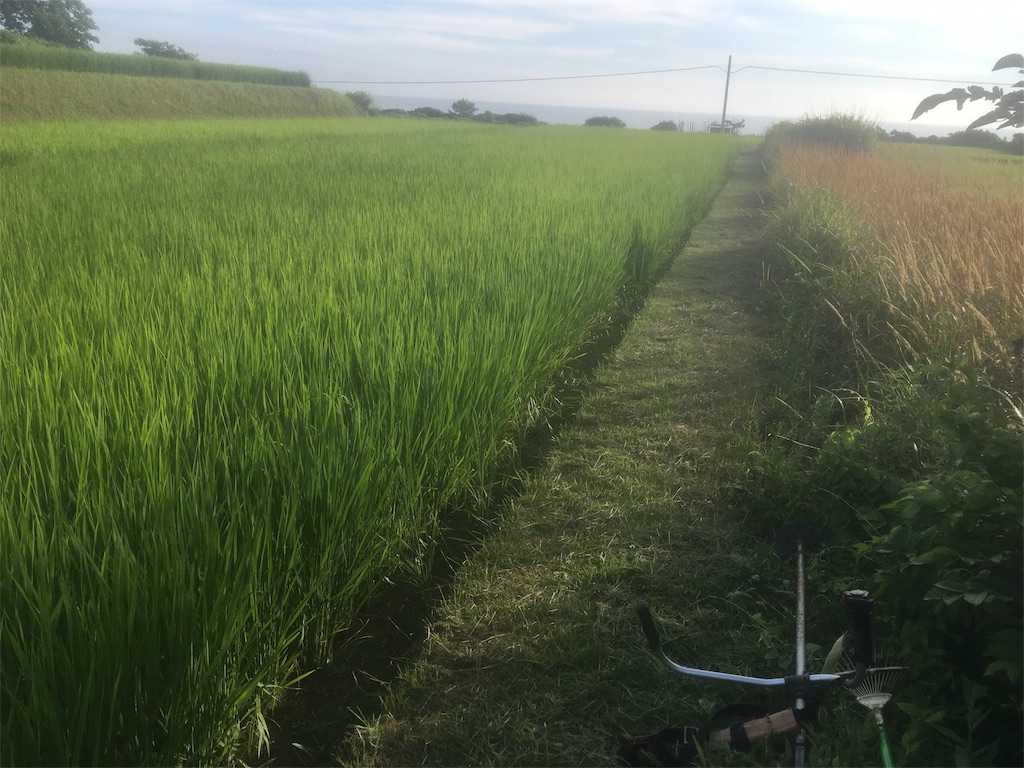 f:id:beer2011:20180725075311j:image