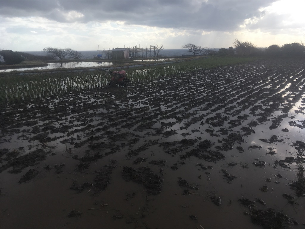 f:id:beer2011:20181031212207j:image