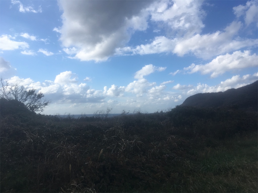 f:id:beer2011:20181031212225j:image