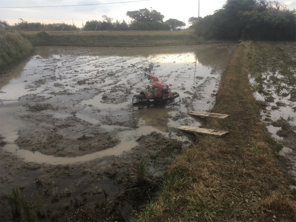 f:id:beer2011:20181204210014j:image