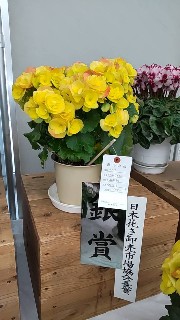 f:id:begonialife:20231130113059j:image f:id:begonialife:20231130113059j:image