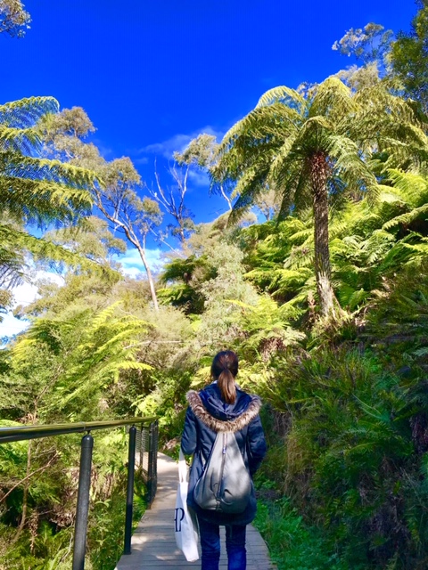 f:id:behappie:20190825155028j:plain f:id:behappie:20190825155028j:plain