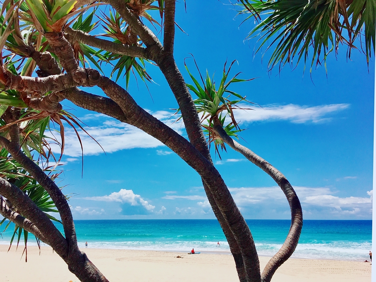 f:id:behappie:20190830135732j:plain f:id:behappie:20190830135732j:plain