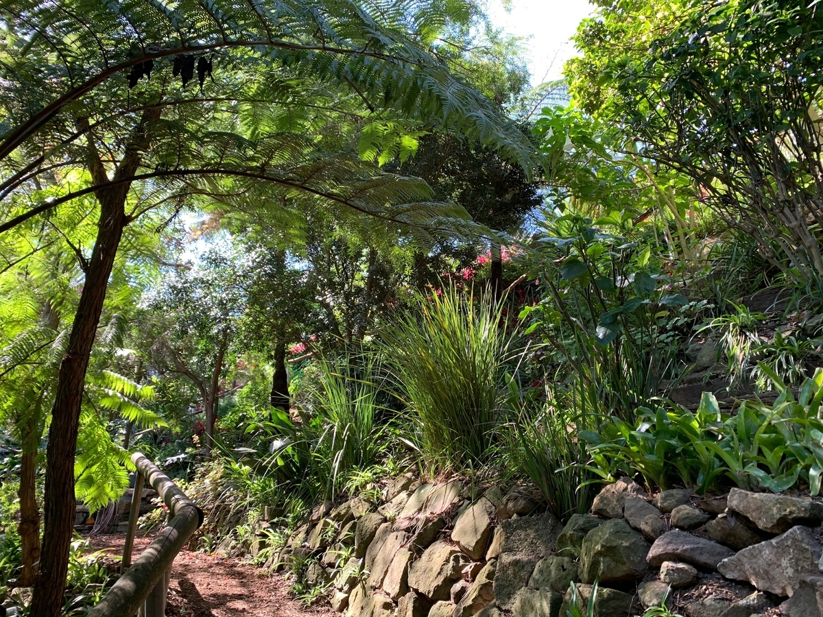 f:id:behappie:20201002203904j:plain f:id:behappie:20201002203904j:plain