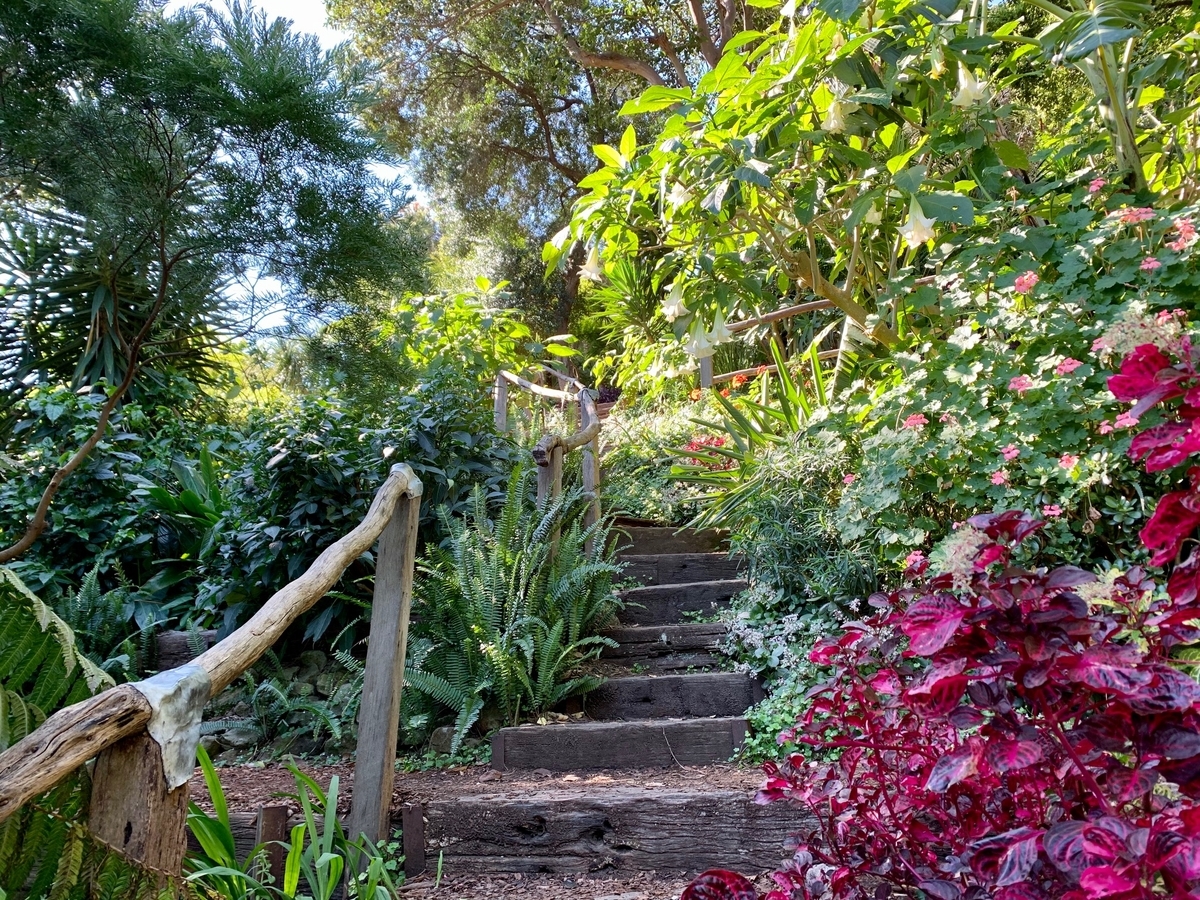 f:id:behappie:20201002204555j:plain f:id:behappie:20201002204555j:plain