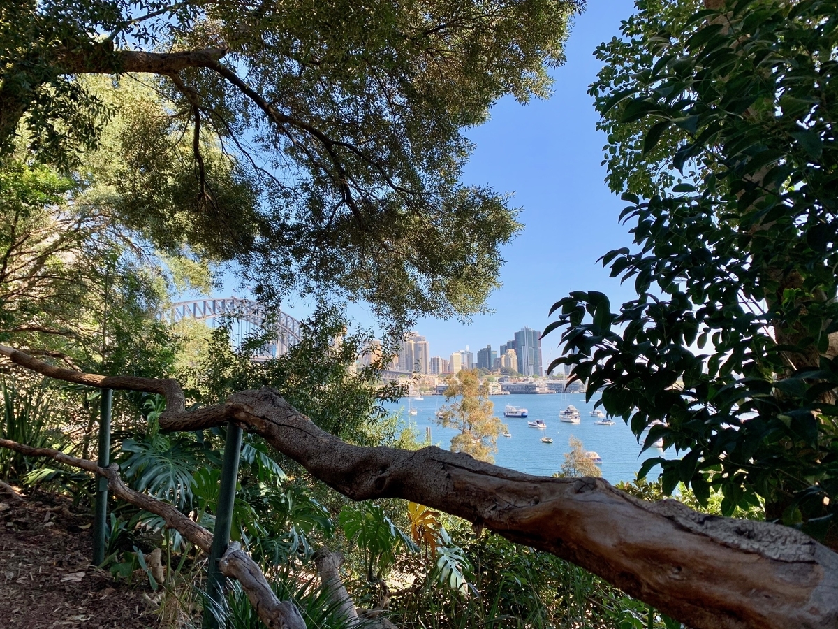 f:id:behappie:20201002204830j:plain f:id:behappie:20201002204830j:plain