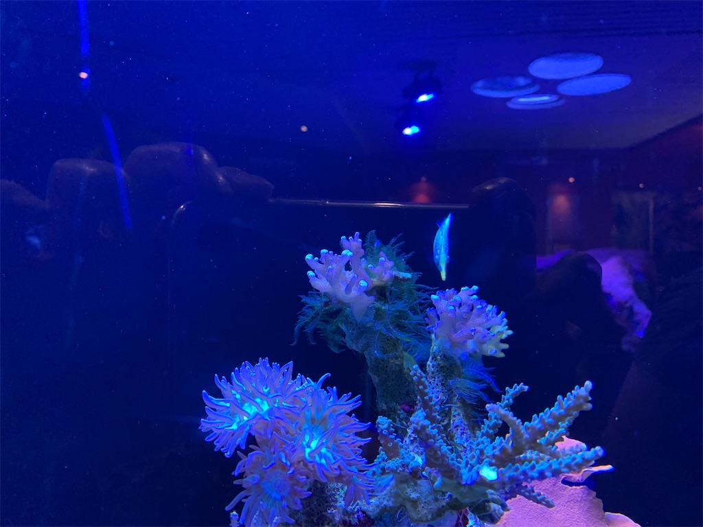 f:id:behappie:20220308213552j:image f:id:behappie:20220308213552j:image