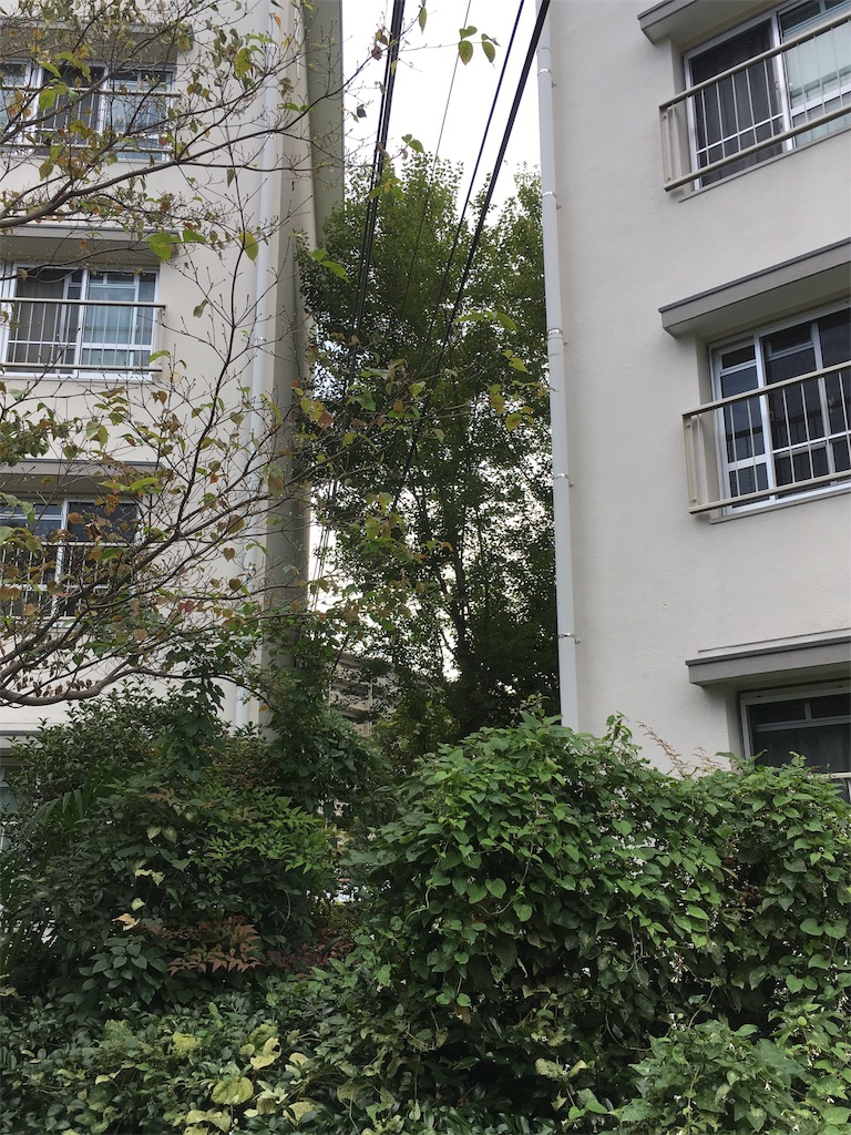 f:id:behereaccepturself:20190920125233j:image