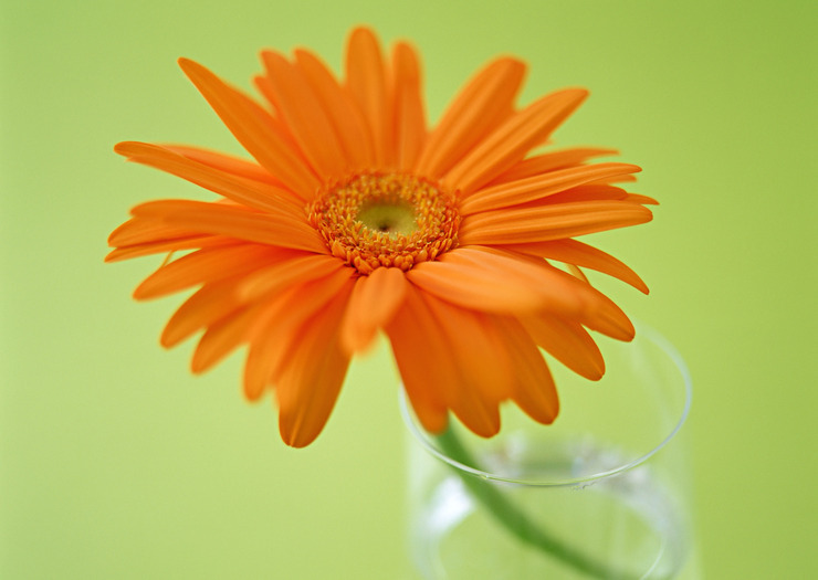 f:id:behold:20111119180533j:image:w640:right