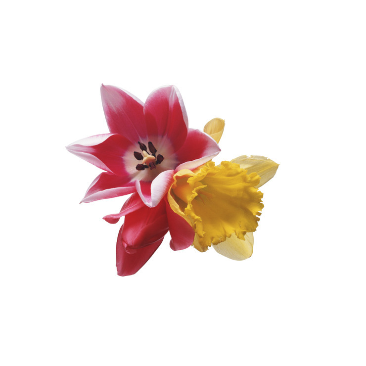 f:id:behold:20111207101924j:image:w640:left