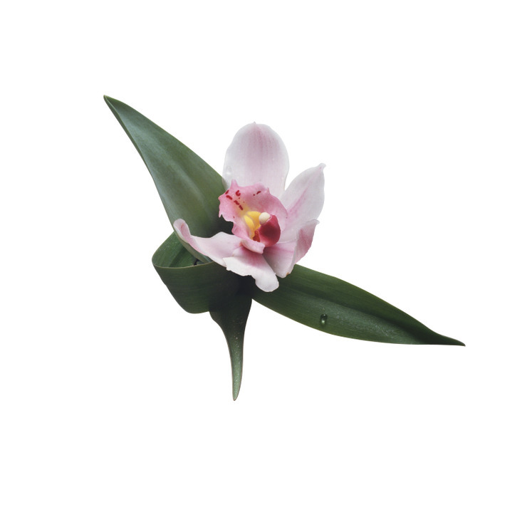 f:id:behold:20111210185424j:image:w640:left