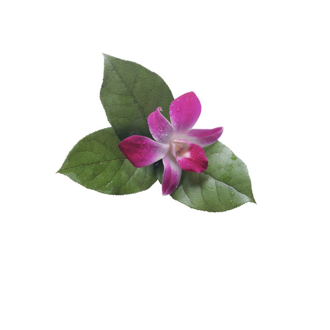 f:id:behold:20111217190027j:image:w640:left