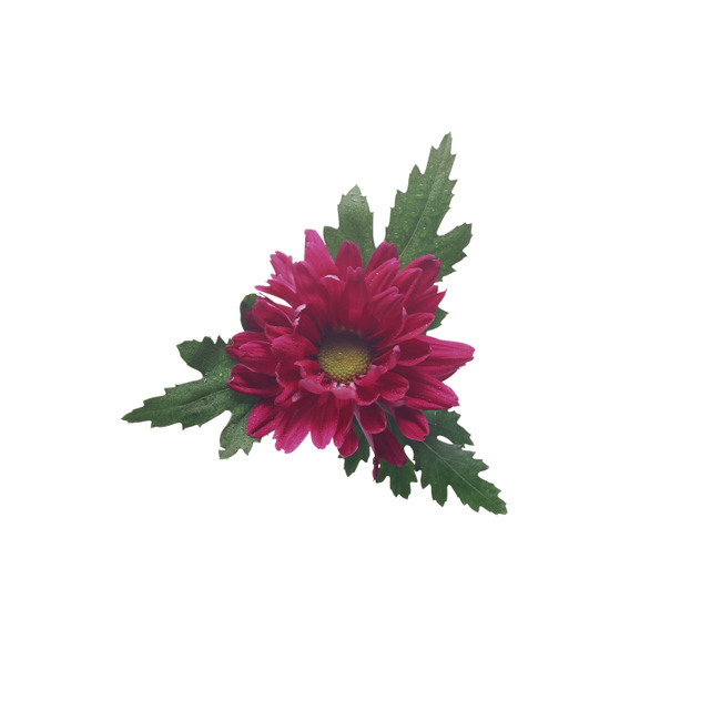 f:id:behold:20111220111946j:image:w640:left