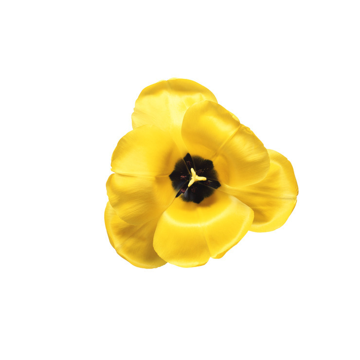 f:id:behold:20111227121640j:image:w640:left