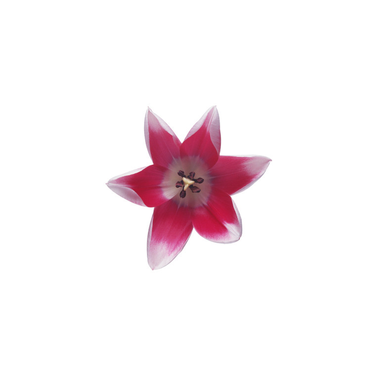 f:id:behold:20120111083053j:image:w640:left