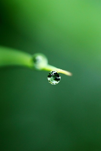 f:id:behold:20120809150610j:image:w500:left