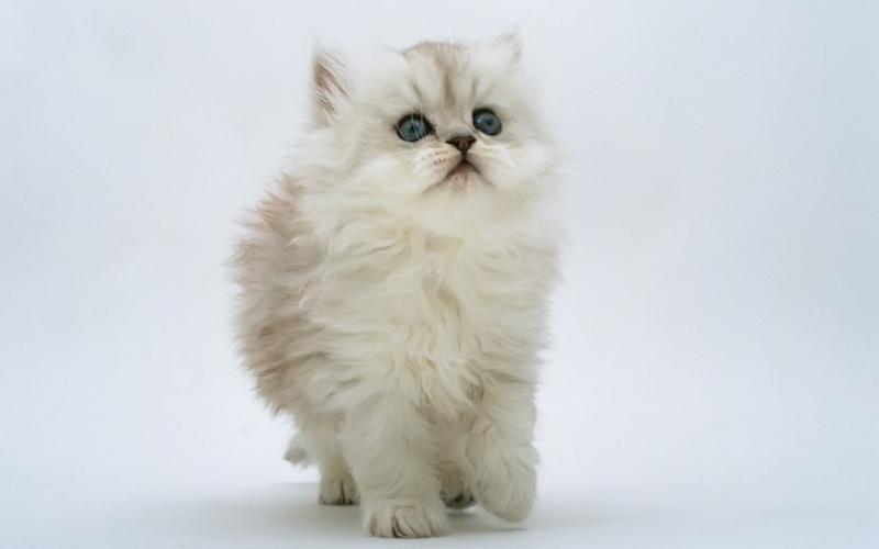 f:id:behold:20120829105019j:image:w640:left
