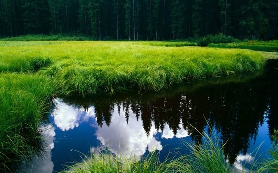 f:id:behold:20120830090704j:image:w640:right