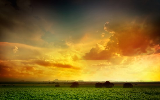 f:id:behold:20120927113529j:image:w640:left