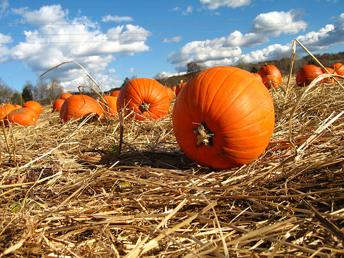 f:id:behold:20131021114002j:image:w640:right