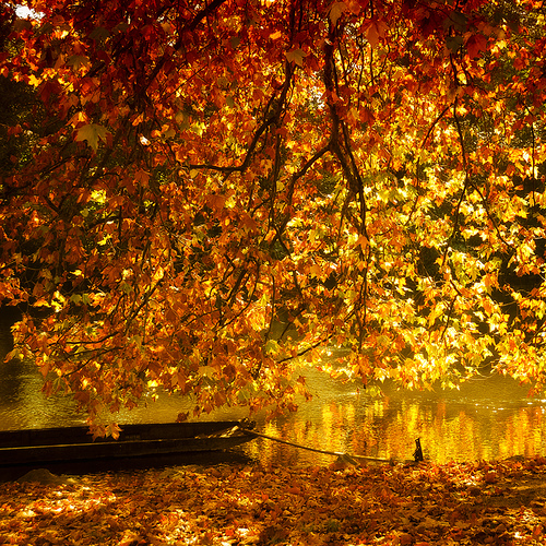 f:id:behold:20131025080225j:image:w360:left