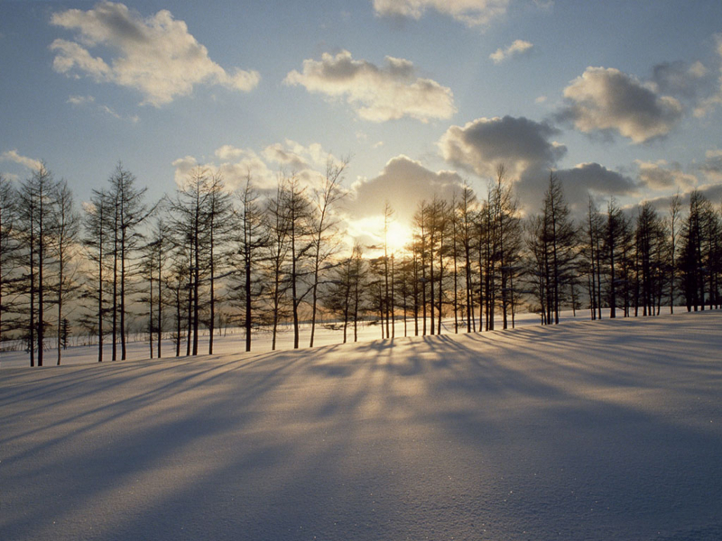 f:id:behold:20141202175827j:image:w360:left