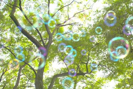 f:id:behoma21:20120831143715j:image