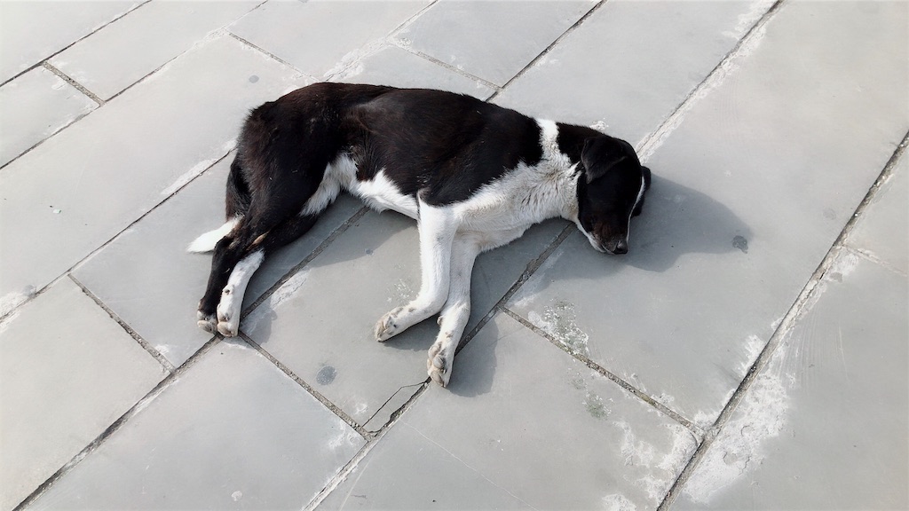f:id:beijingryugaku:20190411003524j:image