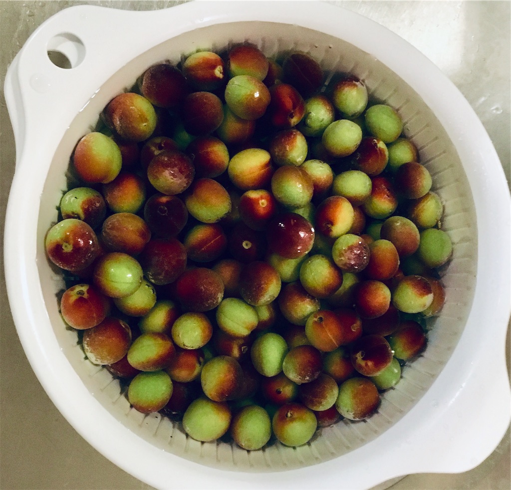 パープルクイーン で梅酒を作った話 Beikunのブログ パープルクイーン で梅酒を作った話 Beikunのブログ
