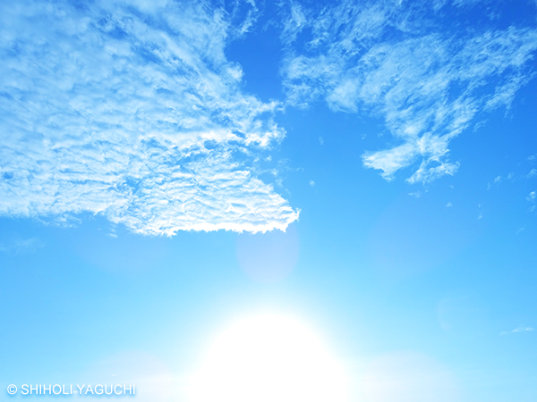 f:id:beingart:20170528092253j:plain f:id:beingart:20170528092253j:plain