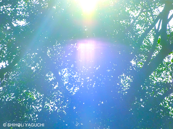 f:id:beingart:20170528112909j:plain f:id:beingart:20170528112909j:plain