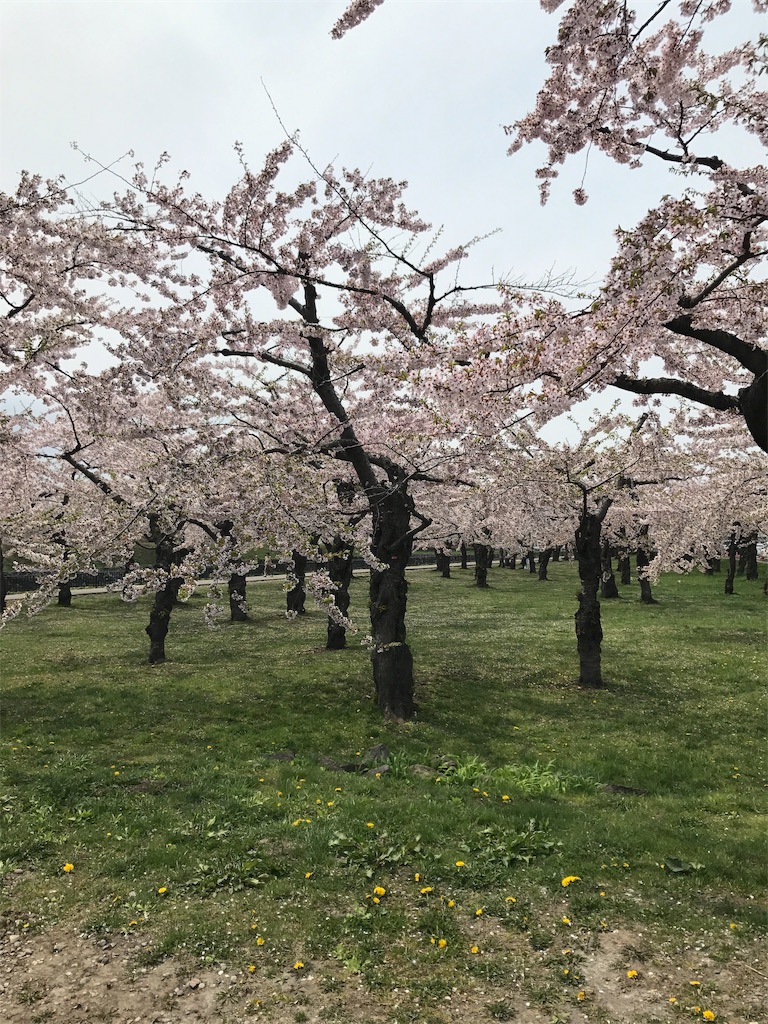 f:id:beinterested:20190331141656j:image