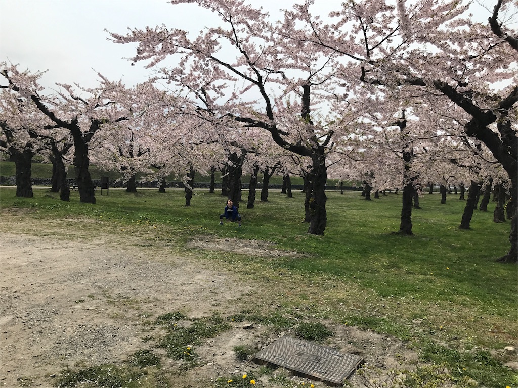 f:id:beinterested:20190331141700j:image
