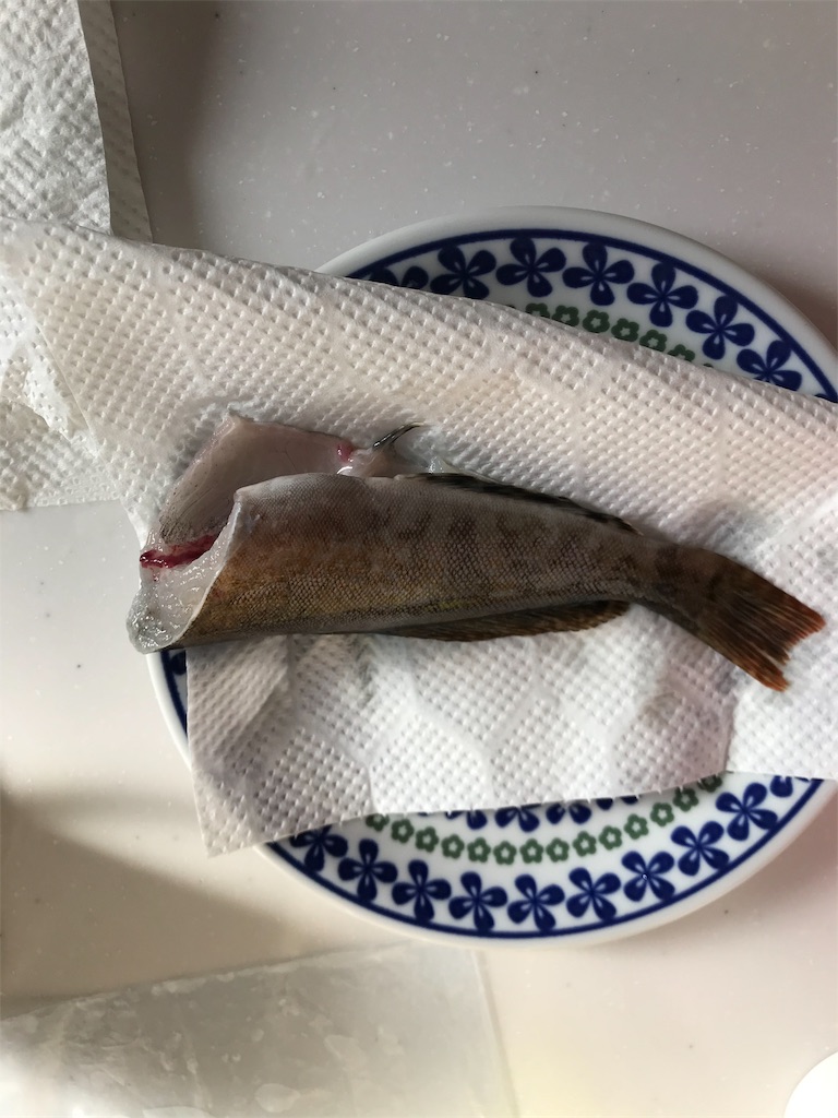 f:id:beinterested:20191022190447j:image