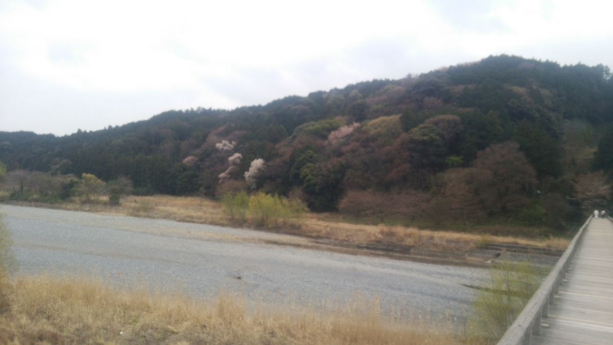 f:id:bekibekibeki:20190527104731j:plain f:id:bekibekibeki:20190527104731j:plain