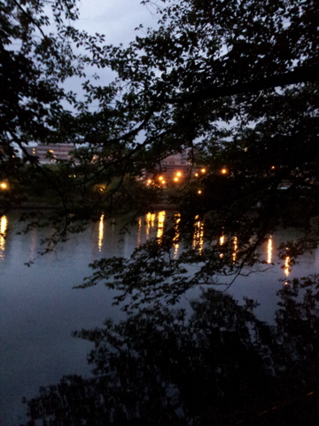 f:id:bekkenyamiyushi:20120618192559j:image:w360
