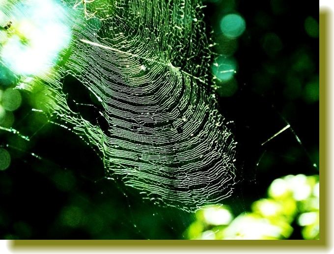 f:id:belage:20111024160322j:image