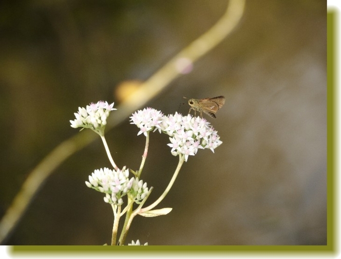 f:id:belage:20111024160756j:image