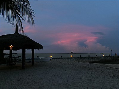 https://cdn-ak.f.st-hatena.com/images/fotolife/b/belarbre820/20010101/20010101020520.jpg