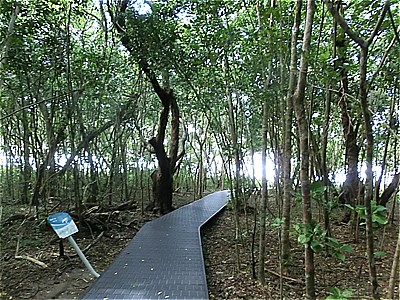 https://cdn-ak.f.st-hatena.com/images/fotolife/b/belarbre820/20010101/20010101023540.jpg