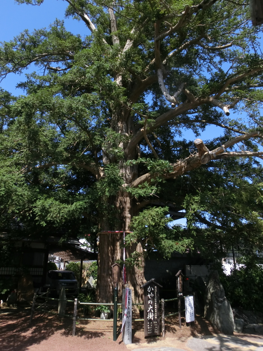 f:id:belarbre820:20190906103701j:plain