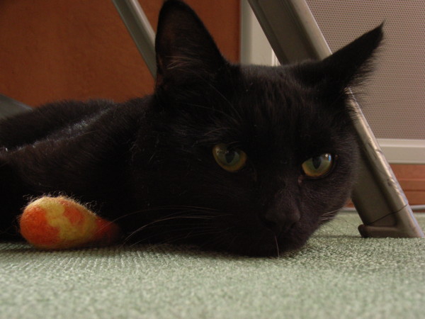 f:id:bell87uta:20090831224505j:image f:id:bell87uta:20090831224505j:image