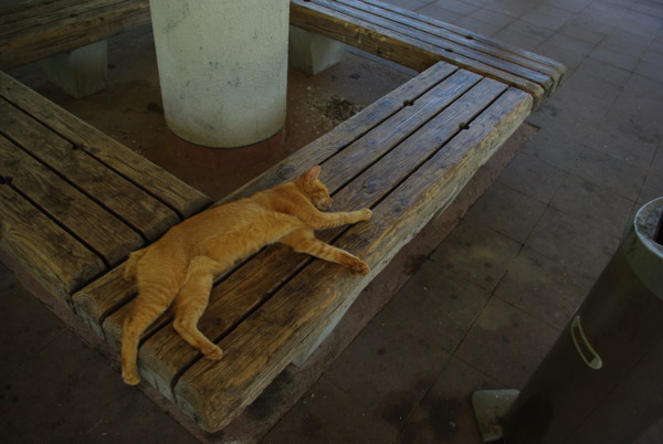 f:id:bell87uta:20091006210255j:image f:id:bell87uta:20091006210255j:image